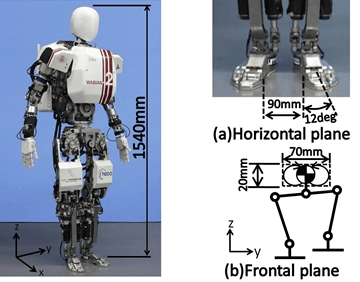 Représentation de la créature