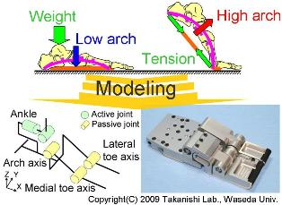 Représentation de la créature